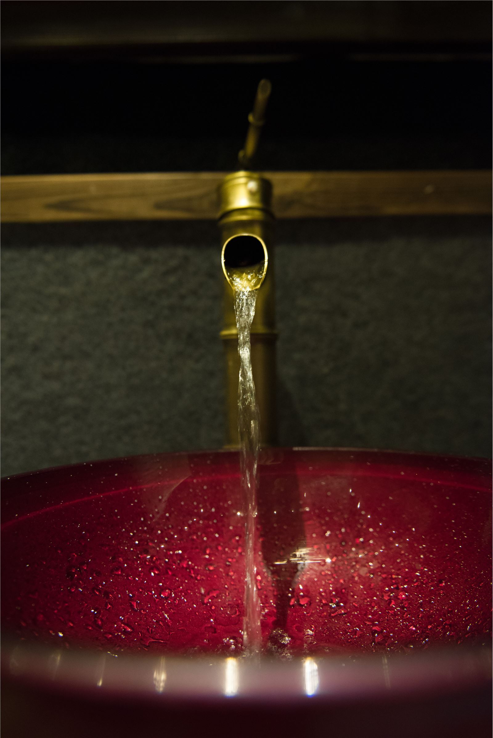 [TouTiao头条女神] 2018.05.08 女神探店 猫咪